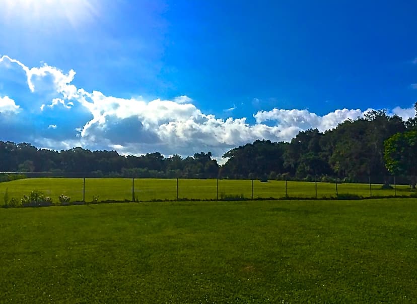 5.5 acres ready to build